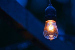 Bulb